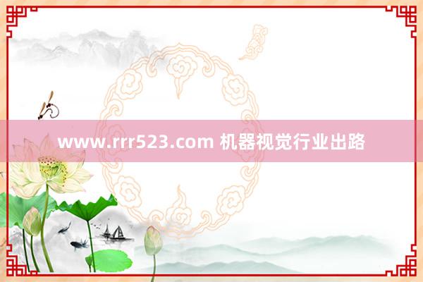 www.rrr523.com 机器视觉行业出路