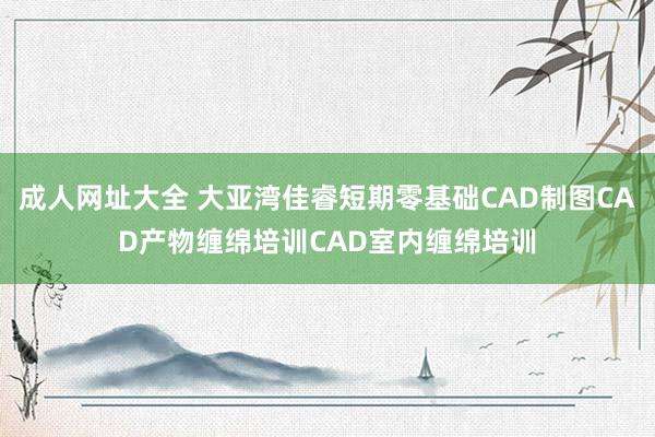 成人网址大全 大亚湾佳睿短期零基础CAD制图CAD产物缠绵培训CAD室内缠绵培训