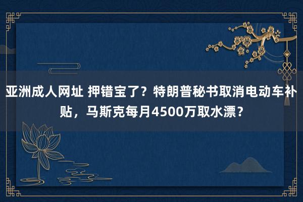 亚洲成人网址 押错宝了？特朗普秘书取消电动车补贴，马斯克每月4500万取水漂？