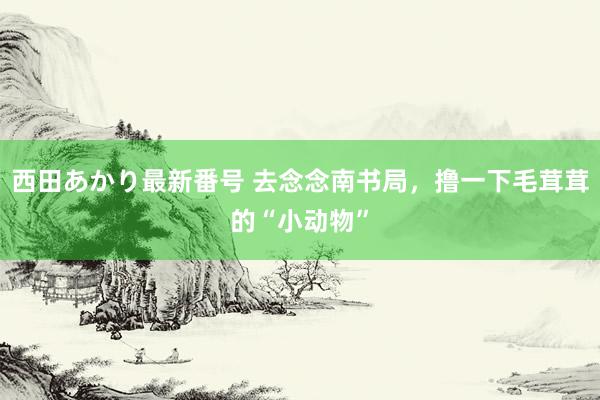 西田あかり最新番号 去念念南书局，撸一下毛茸茸的“小动物”