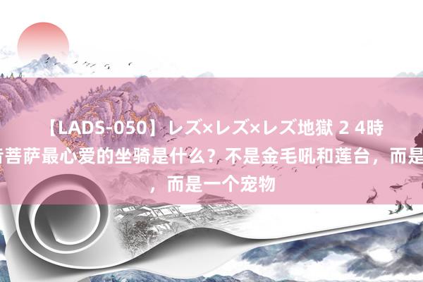 【LADS-050】レズ×レズ×レズ地獄 2 4時間 不雅音菩萨最心爱的坐骑是什么？不是金毛吼和莲台，而是一个宠物