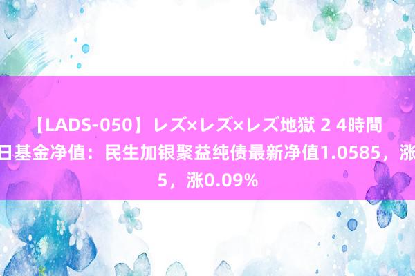 【LADS-050】レズ×レズ×レズ地獄 2 4時間 7月26日基金净值：民生加银聚益纯债最新净值1.0585，涨0.09%