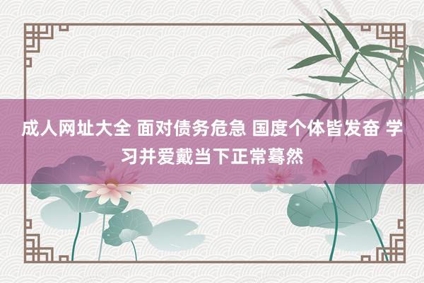 成人网址大全 面对债务危急 国度个体皆发奋 学习并爱戴当下正常蓦然