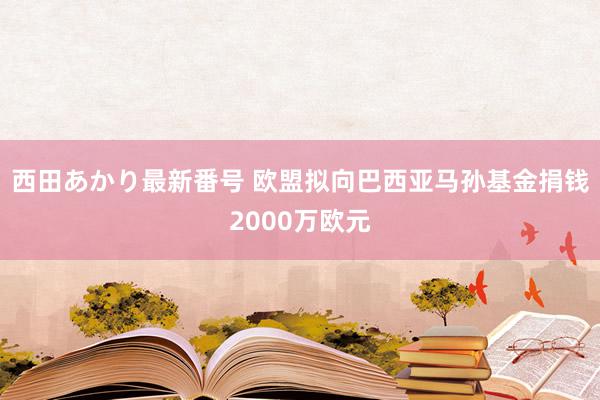 西田あかり最新番号 欧盟拟向巴西亚马孙基金捐钱2000万欧元