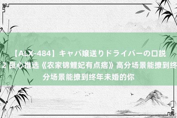 【ALX-484】キャバ嬢送りドライバーの口説きハメ撮り 2 良心推选《农家锦鲤妃有点痞》高分场景能撩到终年未婚的你