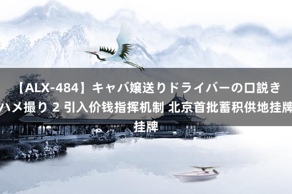 【ALX-484】キャバ嬢送りドライバーの口説きハメ撮り 2 引入价钱指挥机制 北京首批蓄积供地挂牌