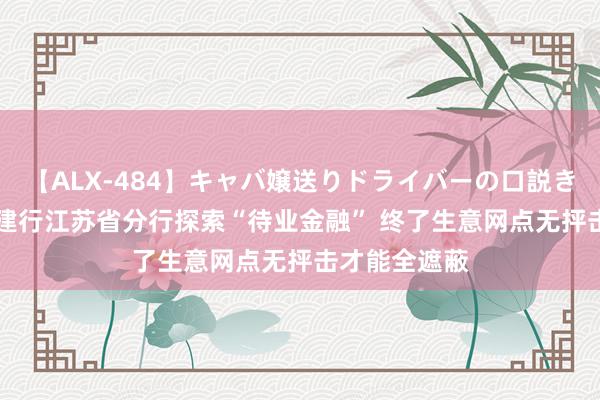 【ALX-484】キャバ嬢送りドライバーの口説きハメ撮り 2 建行江苏省分行探索“待业金融” 终了生意网点无抨击才能全遮蔽