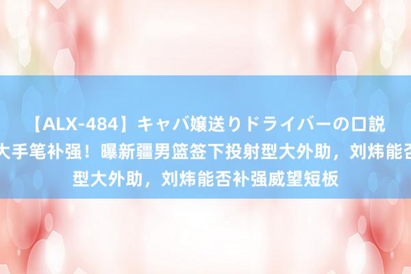 【ALX-484】キャバ嬢送りドライバーの口説きハメ撮り 2 大手笔补强！曝新疆男篮签下投射型大外助，刘炜能否补强威望短板