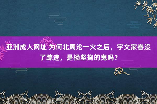 亚洲成人网址 为何北周沦一火之后，宇文家眷没了踪迹，是杨坚捣的鬼吗？