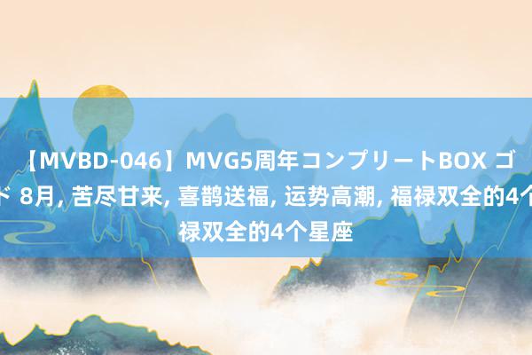 【MVBD-046】MVG5周年コンプリートBOX ゴールド 8月, 苦尽甘来, 喜鹊送福, 运势高潮, 福禄双全的4个星座