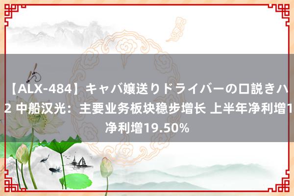 【ALX-484】キャバ嬢送りドライバーの口説きハメ撮り 2 中船汉光：主要业务板块稳步增长 上半年净利增19.50%