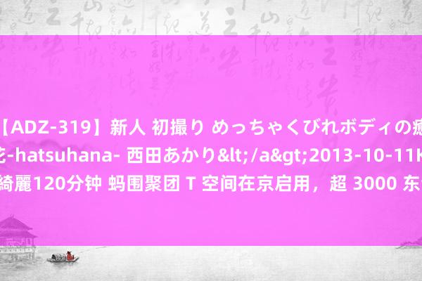 【ADZ-319】新人 初撮り めっちゃくびれボディの癒し系ガール 初花-hatsuhana- 西田あかり</a>2013-10-11KUKI&$綺麗120分钟 蚂围聚团 T 空间在京启用，超 3000 东谈主入驻、时候东谈主才占比近 8 成