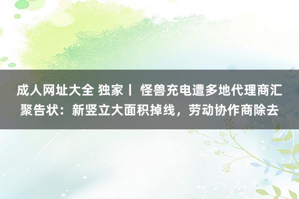 成人网址大全 独家丨 怪兽充电遭多地代理商汇聚告状：新竖立大面积掉线，劳动协作商除去