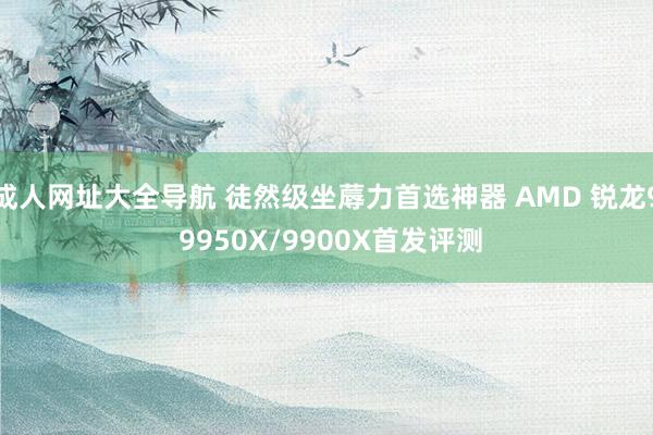 成人网址大全导航 徒然级坐蓐力首选神器 AMD 锐龙9 9950X/9900X首发评测