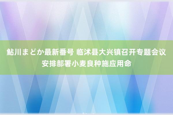 鮎川まどか最新番号 临沭县大兴镇召开专题会议安排部署小麦良种施应用命