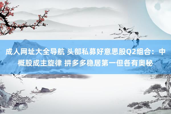 成人网址大全导航 头部私募好意思股Q2组合：中概股成主旋律 拼多多稳居第一但各有奥秘