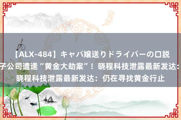 【ALX-484】キャバ嬢送りドライバーの口説きハメ撮り 2 国外子公司遭逢“黄金大劫案”！晓程科技泄露最新发达：仍在寻找黄金行止