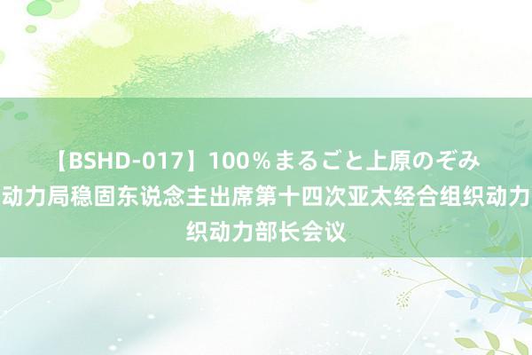 【BSHD-017】100％まるごと上原のぞみ 中国国度动力局稳固东说念主出席第十四次亚太经合组织动力部长会议