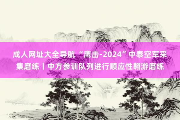 成人网址大全导航 “鹰击-2024”中泰空军采集磨练丨中方参训队列进行顺应性翱游磨练