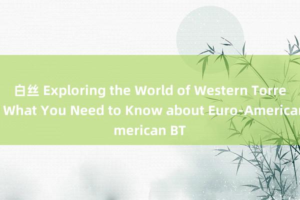 白丝 Exploring the World of Western Torrents: What You Need to Know about Euro-American BT