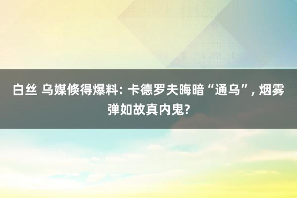 白丝 乌媒倏得爆料: 卡德罗夫晦暗“通乌”, 烟雾弹如故真内鬼?