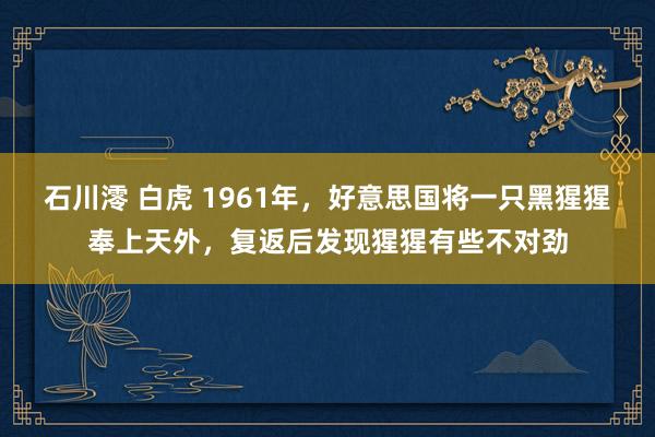 石川澪 白虎 1961年，好意思国将一只黑猩猩奉上天外，复返后发现猩猩有些不对劲