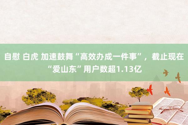 自慰 白虎 加速鼓舞“高效办成一件事”，截止现在“爱山东”用户数超1.13亿