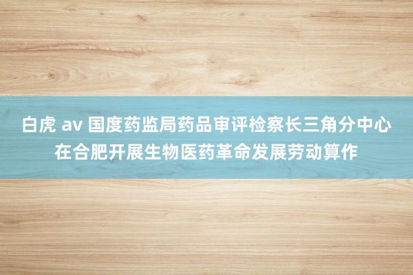 白虎 av 国度药监局药品审评检察长三角分中心在合肥开展生物医药革命发展劳动算作